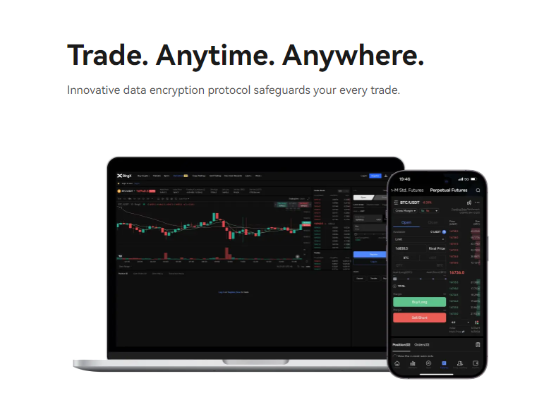 BingX – Reviews, Trading Fees & Cryptos (2025) | Cryptowisser